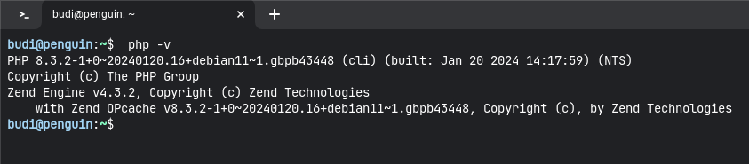 output hasil cek versi php